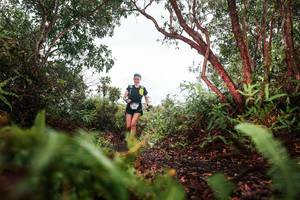 BIB: 
                            <button type="button" onclick="openModal(26209716)" class="btn btn-primary btn-sm float-right btn-popup" data-toggle="modal" data-target=".modal-high-quality">
                        <i class="fas fa-shopping-cart"></i> Add to Cart
                    </button>
                                            <button type="button" onclick="isThisMe(26209716, true)" class="btn btn-success btn-sm float-right btn-popup btn-isme hidden" data-toggle="tooltip" data-placement="bottom" title="นี่คือรูปของคุณใช่ไหม คลิกที่นี่เพื่อเอาเข้าอัลบั้ม">
                        <i class="fas fa-plus"></i> Add to album
                    </button>
                    <button type="button" onclick="isThisMe(26209716, false)" class="btn btn-warning btn-sm float-right btn-popup btn-isnotme hidden">
                        <i class="fas fa-ban"></i> Remove from album
                    </button>